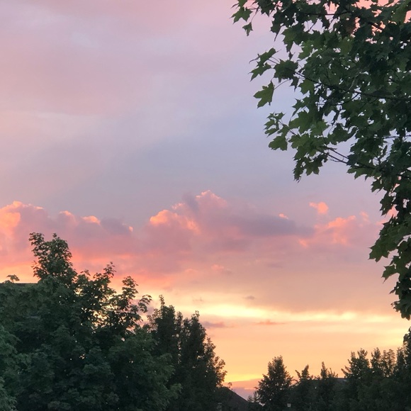 Meet your Posher, Hannah - Picture 1 of 1